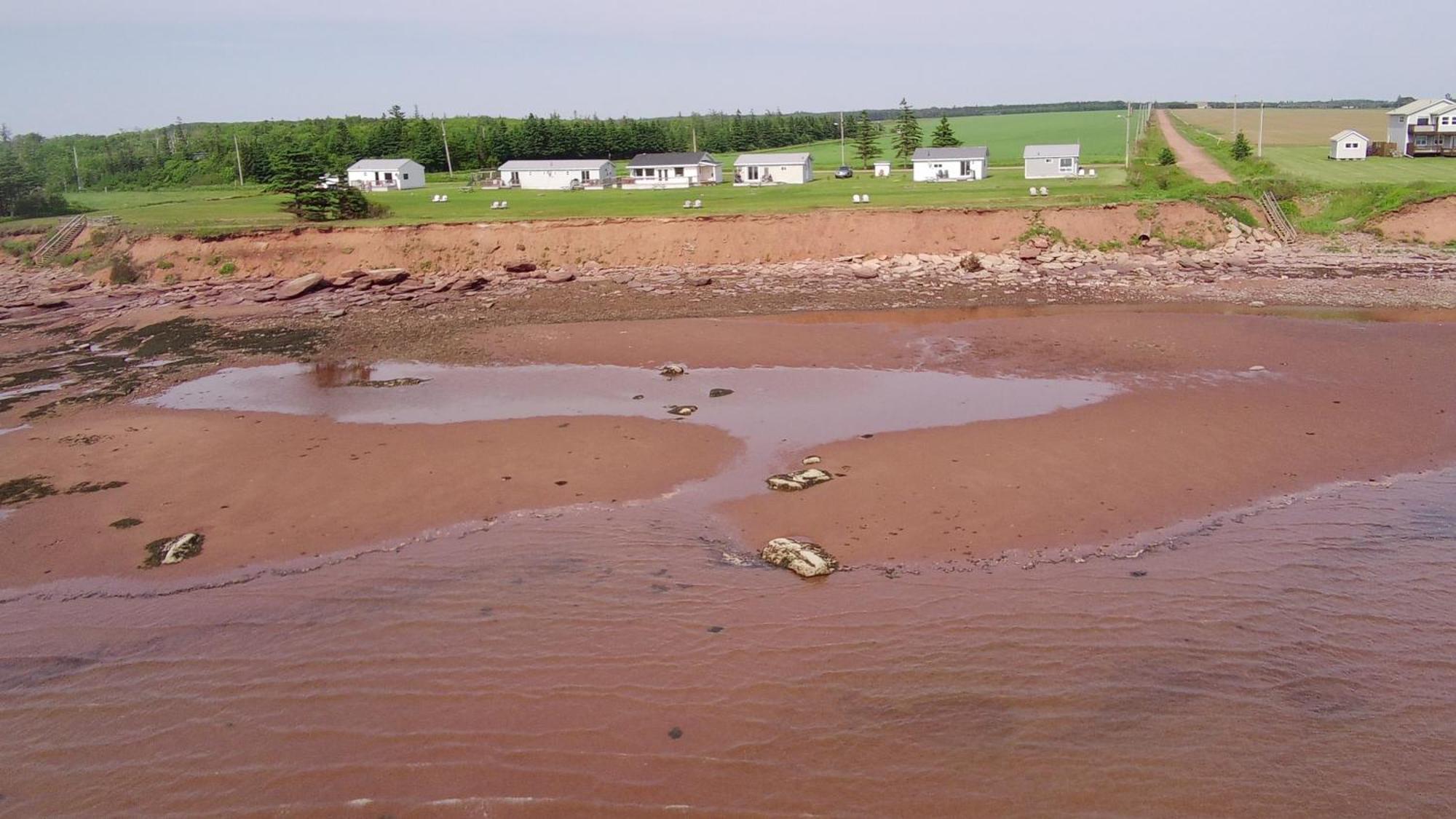 Cottages On Pei-Oceanfront Bedeque ภายนอก รูปภาพ